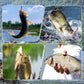 🐟️🎣En ny typ av anordning för snabb lossning av fiskekrokar